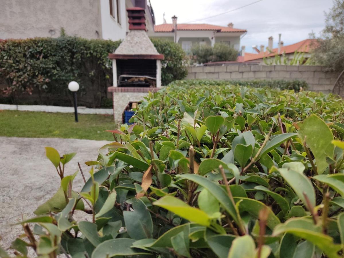 Villa Elina House Nikiti  Exterior foto